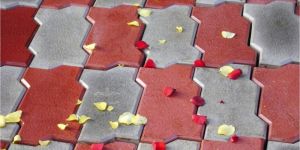 Paver Blocks