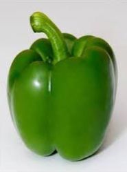 Fresh Capsicum