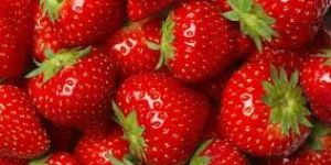 Fresh Strawberry