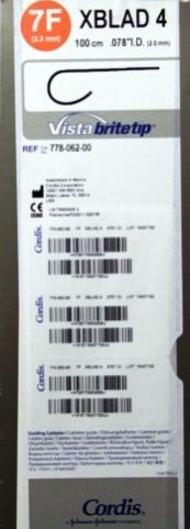 Vista Brite Tip Guiding Catheter