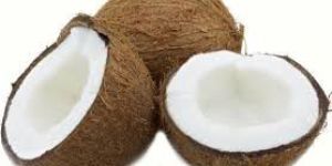 Fresh Coconut