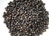 Urad Daal