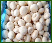 Frozen Button Mushrooms