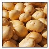 Fresh Potato