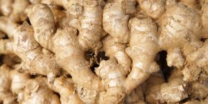 Fresh Ginger