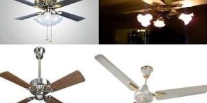 Designer Ceiling Fans