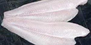 Frozen Basa Fish