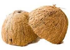 Coconut Shells