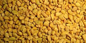 Fenugreek Seeds