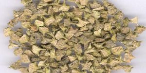 Dried Tribulus Terrestris
