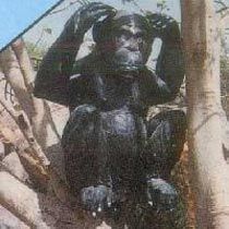 FRP Monkey Statue