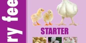 Premium Starter Poultry Feed