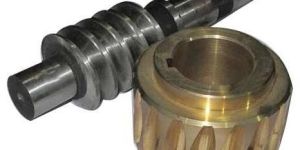 Worm Shaft with Worm Wheel