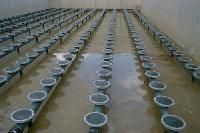 Aeration Diffusers