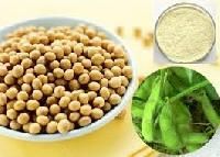 Soya Bean Extract