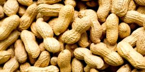 Shelled Peanuts