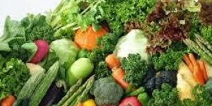 Fresh Vegetables