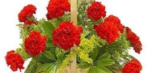 Carnations Basket