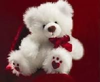 Teddy Bear Gifts