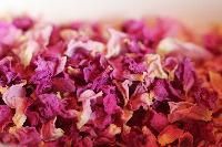 Dry Rose Petals