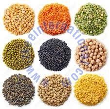 Indian Pulses