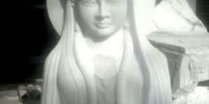 Marble Mata Mansa Devi Statue
