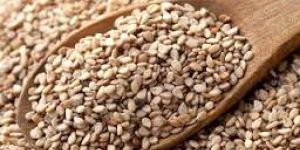 Sesame Seeds