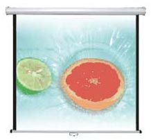 Motorized Projection Screen