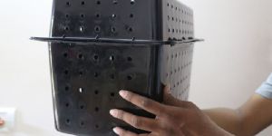 Mud Crab Fattening Boxes