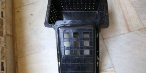 Mud Crab Hardshell Crab Boxes