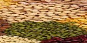 Indian Pulses