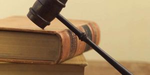 Company Law Consultant