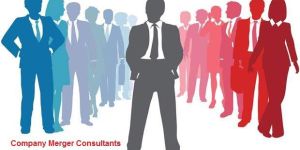 Company Merger Consultant