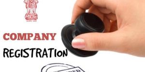 COMPANY REGISTRATION CONSULTANT