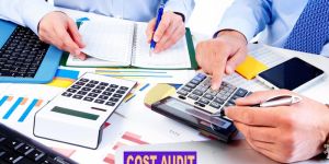 Cost Auditing Services