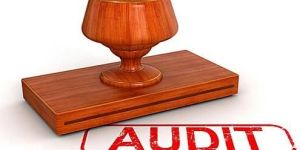 Internal Auditing Services