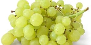 Fresh Grapes