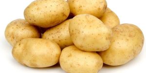 Fresh Potato
