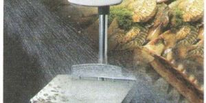 Bench Weighing Scales