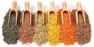 Organic Pulses