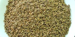 Cumin Seeds