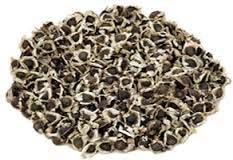 Moringa Seeds