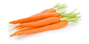 Fresh Carrot