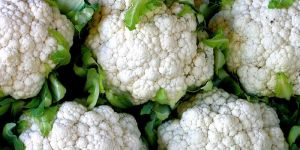 Fresh Cauliflower