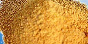 Liver Extract Powder