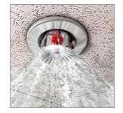 Automatic Water Sprinkler System