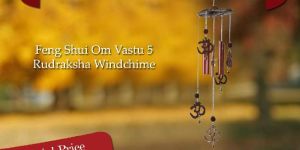 Feng Shui Om Vastu 5 Rudraksha Windchime