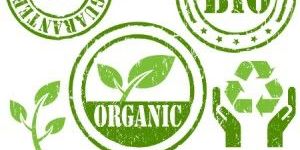 Organic psyllium - Certified