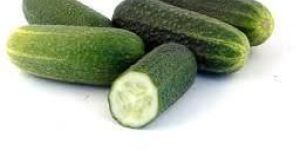 Fresh Cucumber
