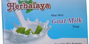 Aloe Vera Goat Milk Soap